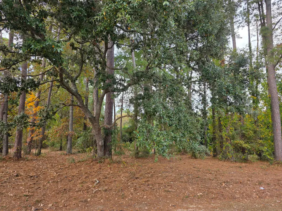 128 Cooper Circle, Santee, SC 29142 - Image #3