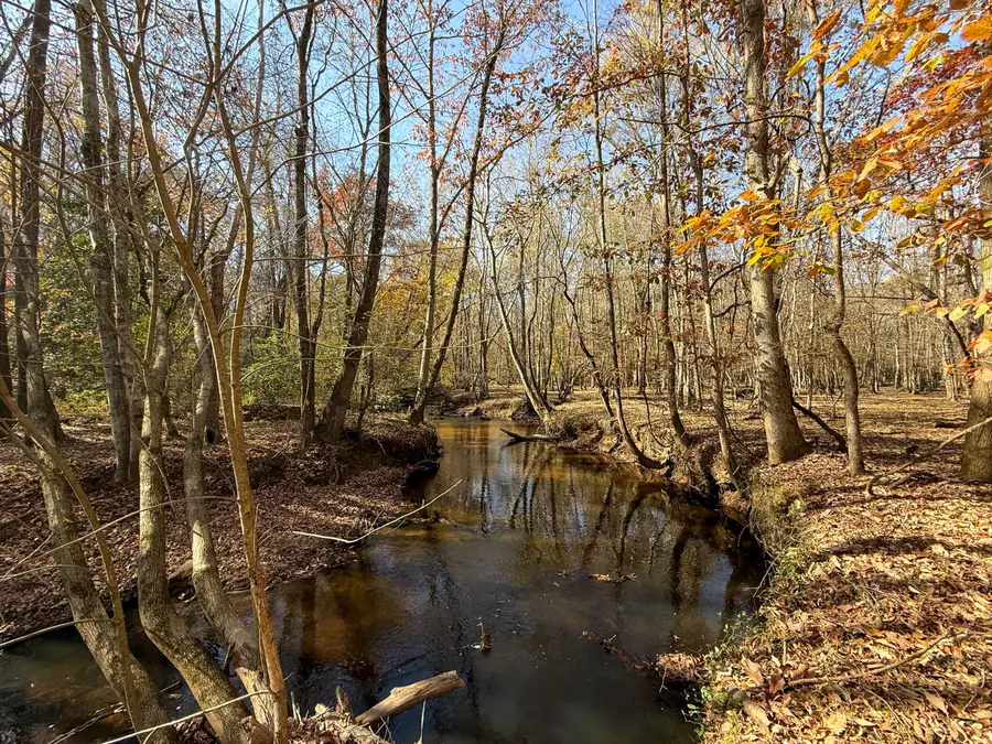 0 Mill Creek, Bethune, SC 29009 - Image #3