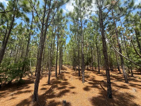 0 Beaver Dam Rd, Cassatt, SC 29032