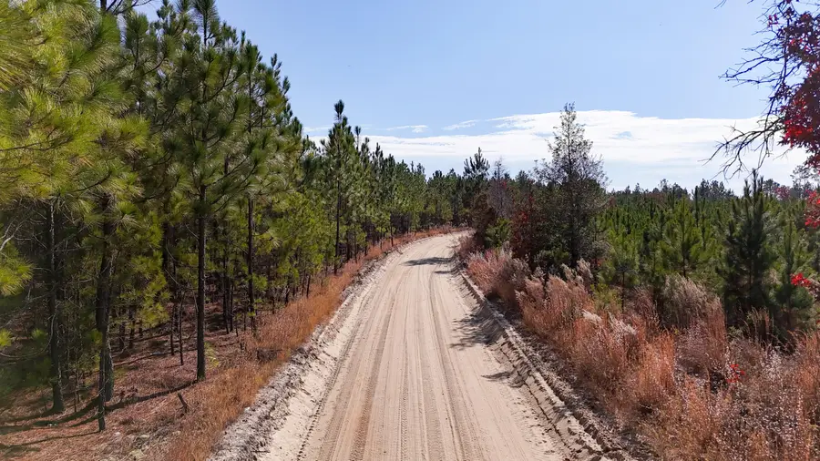 0 Beaver Dam Rd, Cassatt, SC 29032 - Image #3