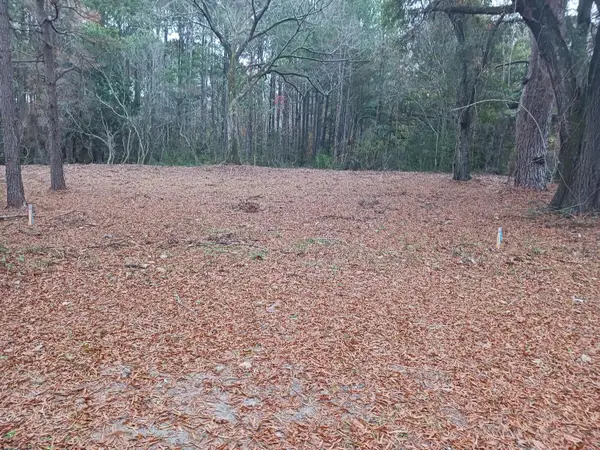 Address Withheld By Seller, Eutawville, SC 29048