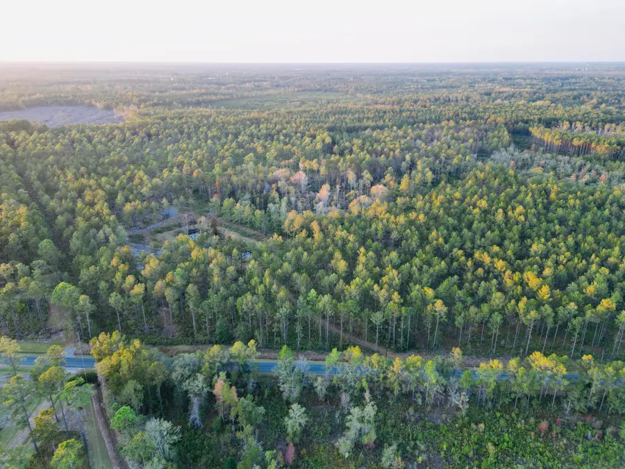 0000 Peniel Road, Walterboro, SC 29488 - #2