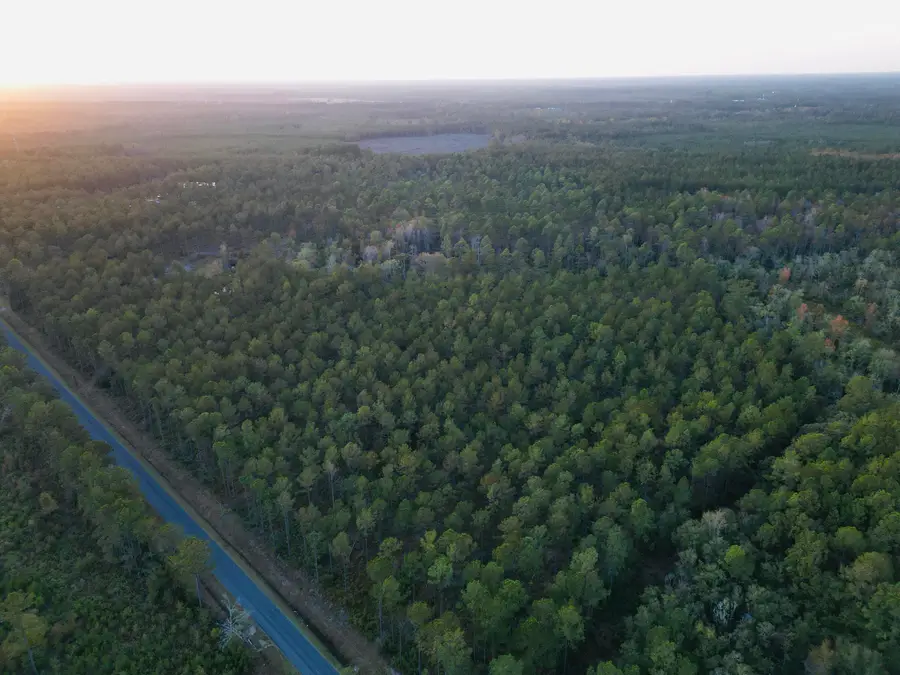0000 Peniel Road, Walterboro, SC 29488 - #3