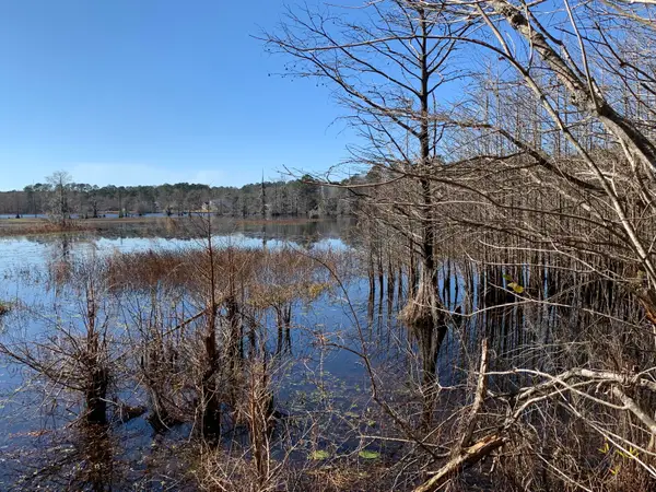 944 Hunt Drive, Huger, SC 29450