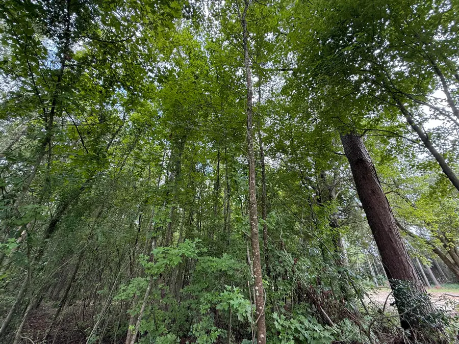 0000 Live Oak Lane, Barnwell, SC 29812 - Image #3