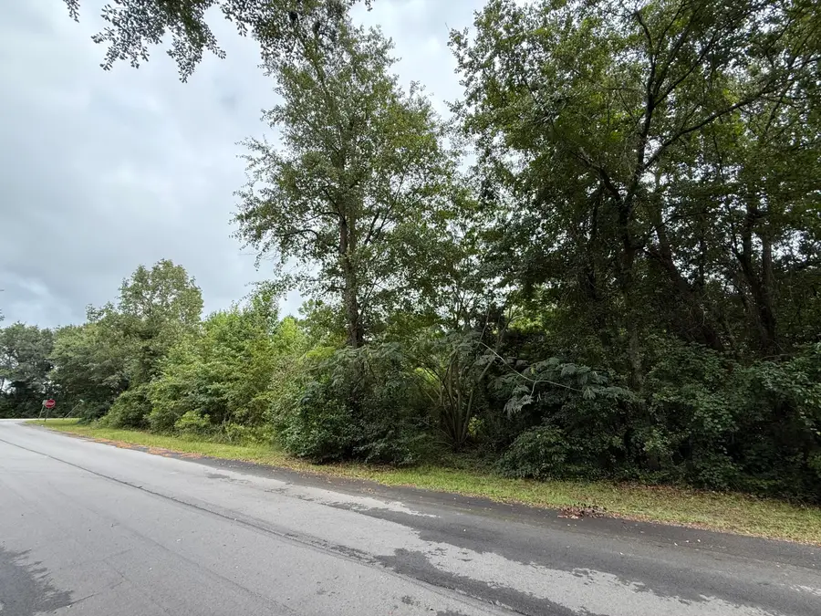 0000 Summer Drive, Barnwell, SC 29812 - Image #2