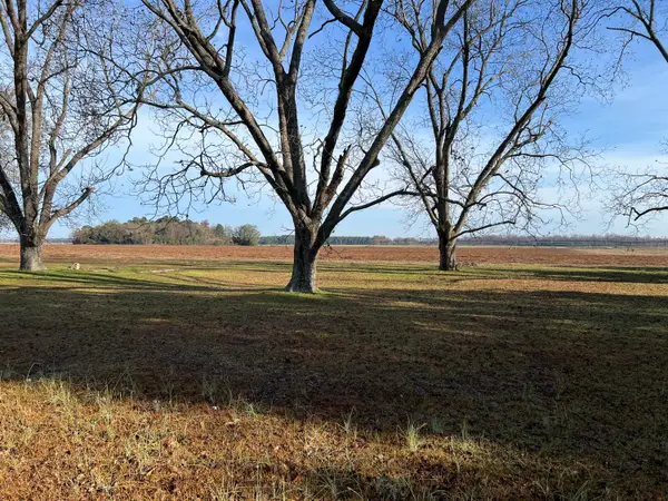 00 Old Hwy 6, Elloree, SC 29047