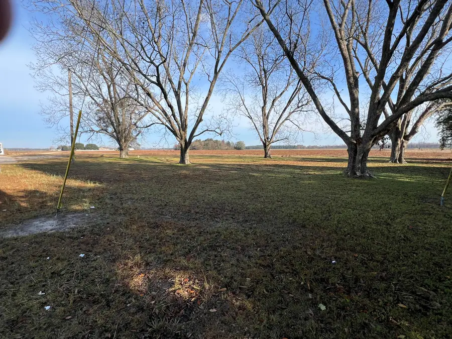 00 Old Hwy 6, Elloree, SC 29047 - Image #3