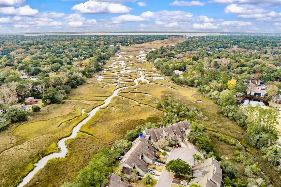 1080 Marsh Court Lane, Mount Pleasant, SC 29464 - Image #2