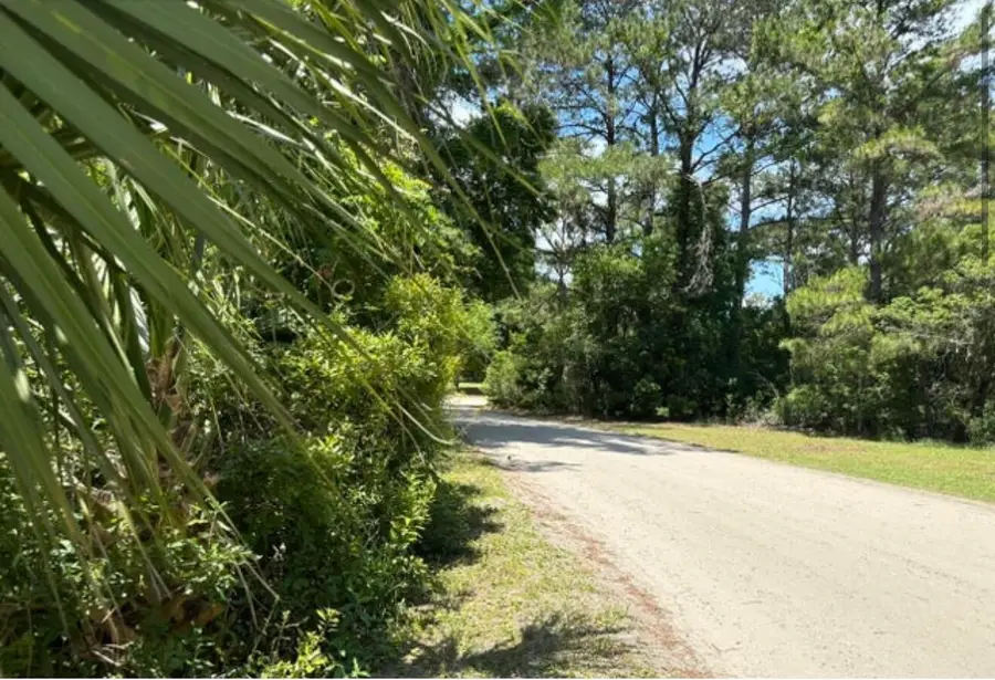 628 Jan Savage Way, Edisto Island, SC 29438 - Image #3