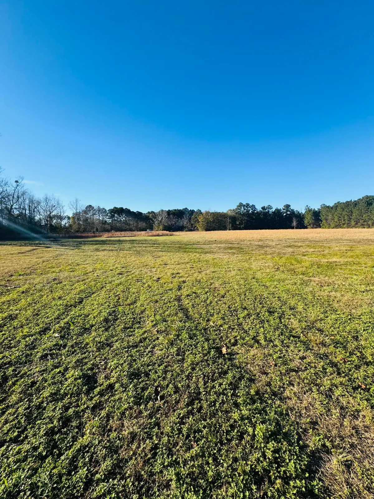 0 Bishopville Road, Saint George, SC 29477 - Image #1