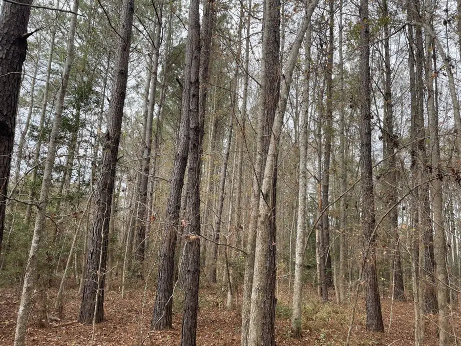 0 Dodge Lane, Round O, SC 29474 - Image #3