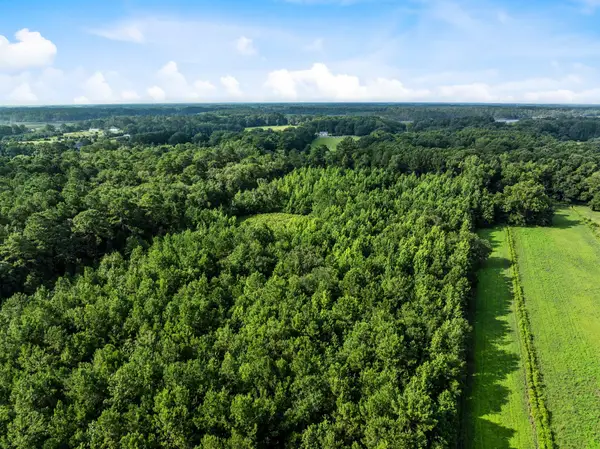 0 Oakville Road, Hollywood, SC 29449