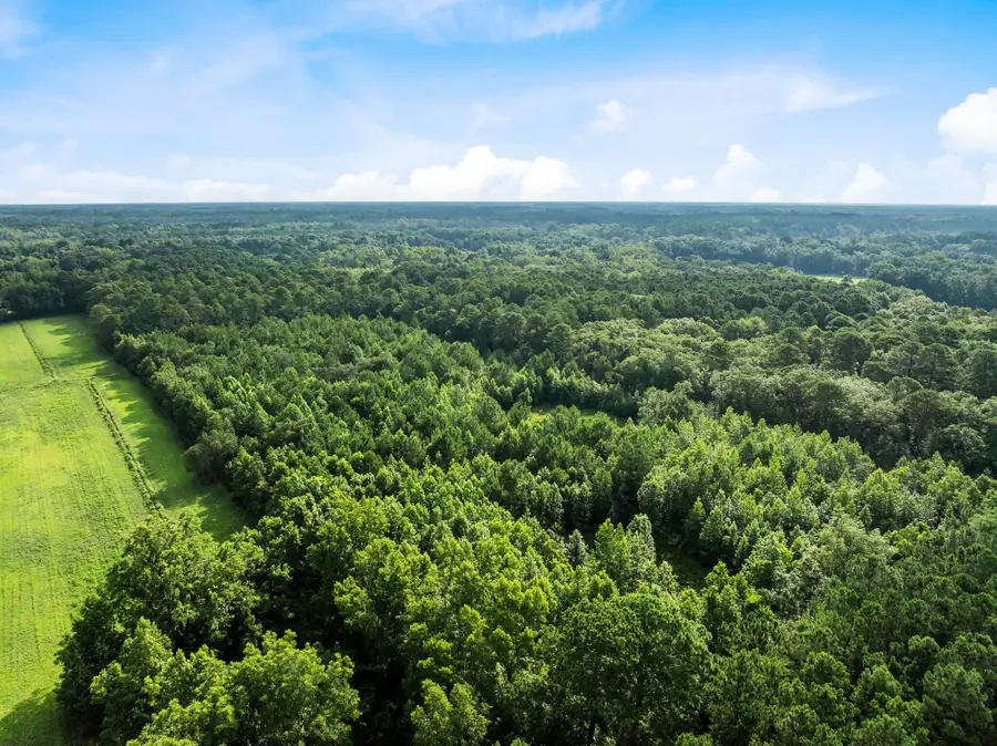 0 Oakville Road, Hollywood, SC 29449 - Image #2