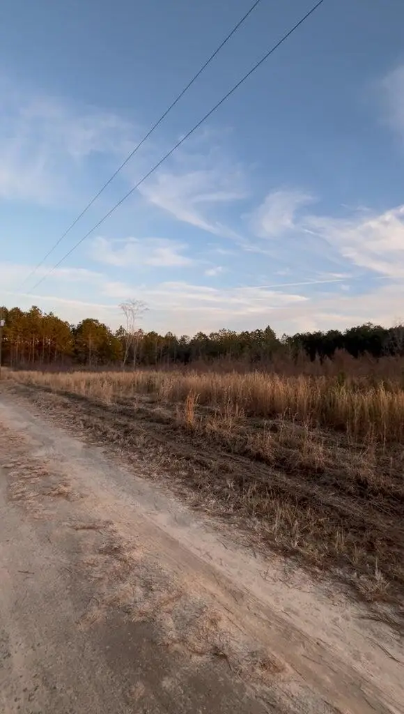 267 Eagle Terrace Trail, Cross, SC 29436 - Image #1