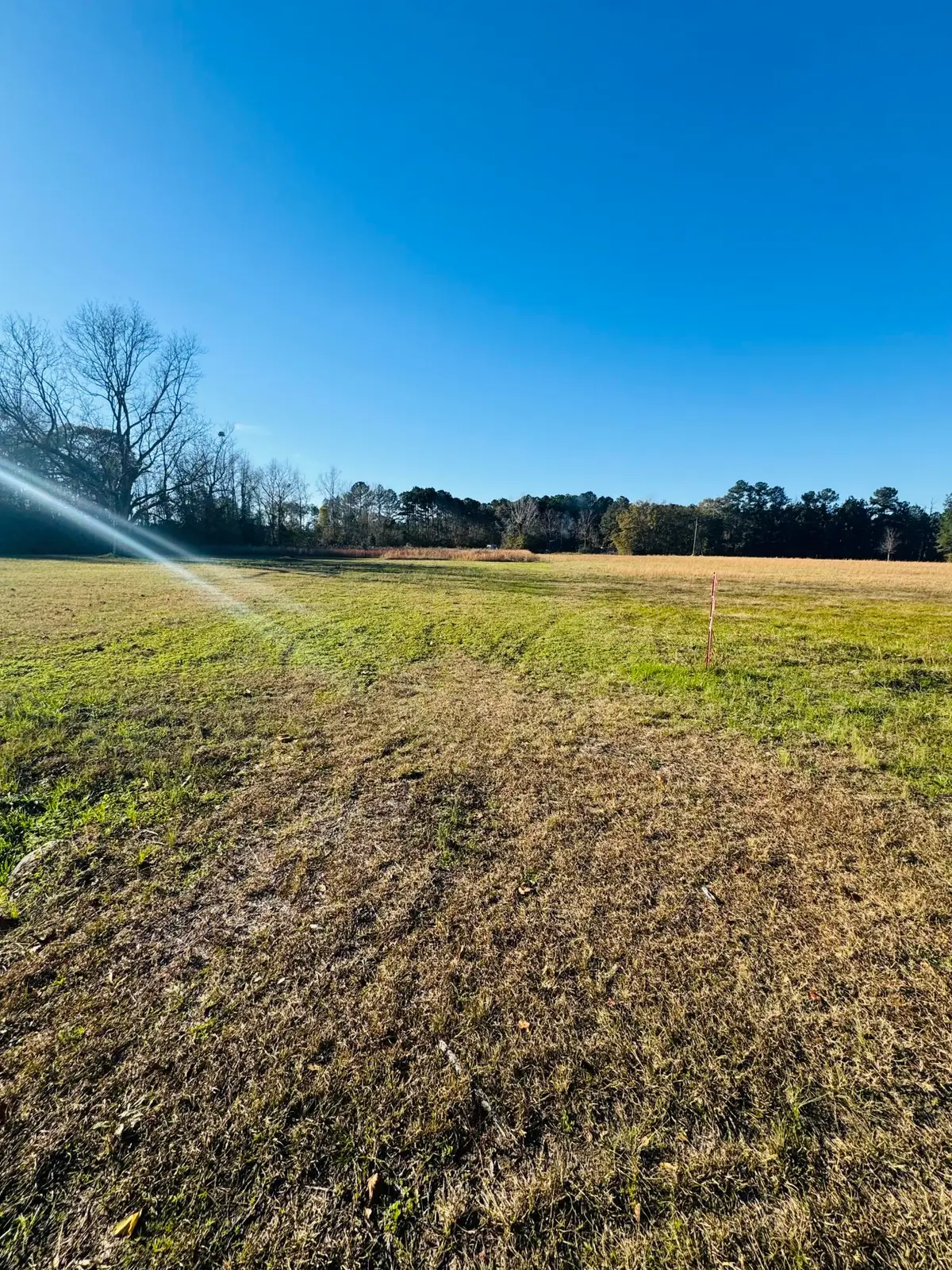 00 Bishopville Road, Saint George, SC 29477 - Image #1