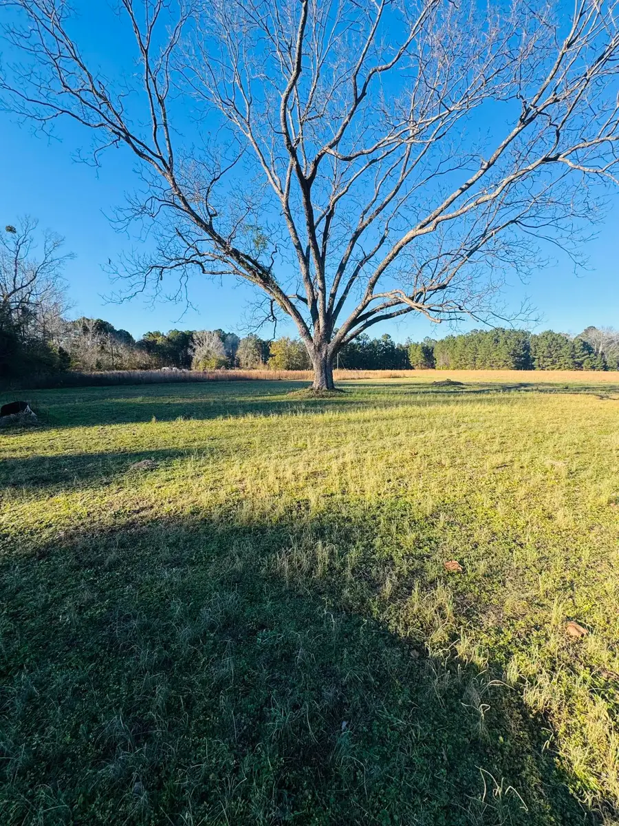 00 Bishopville Road, Saint George, SC 29477 - Image #2