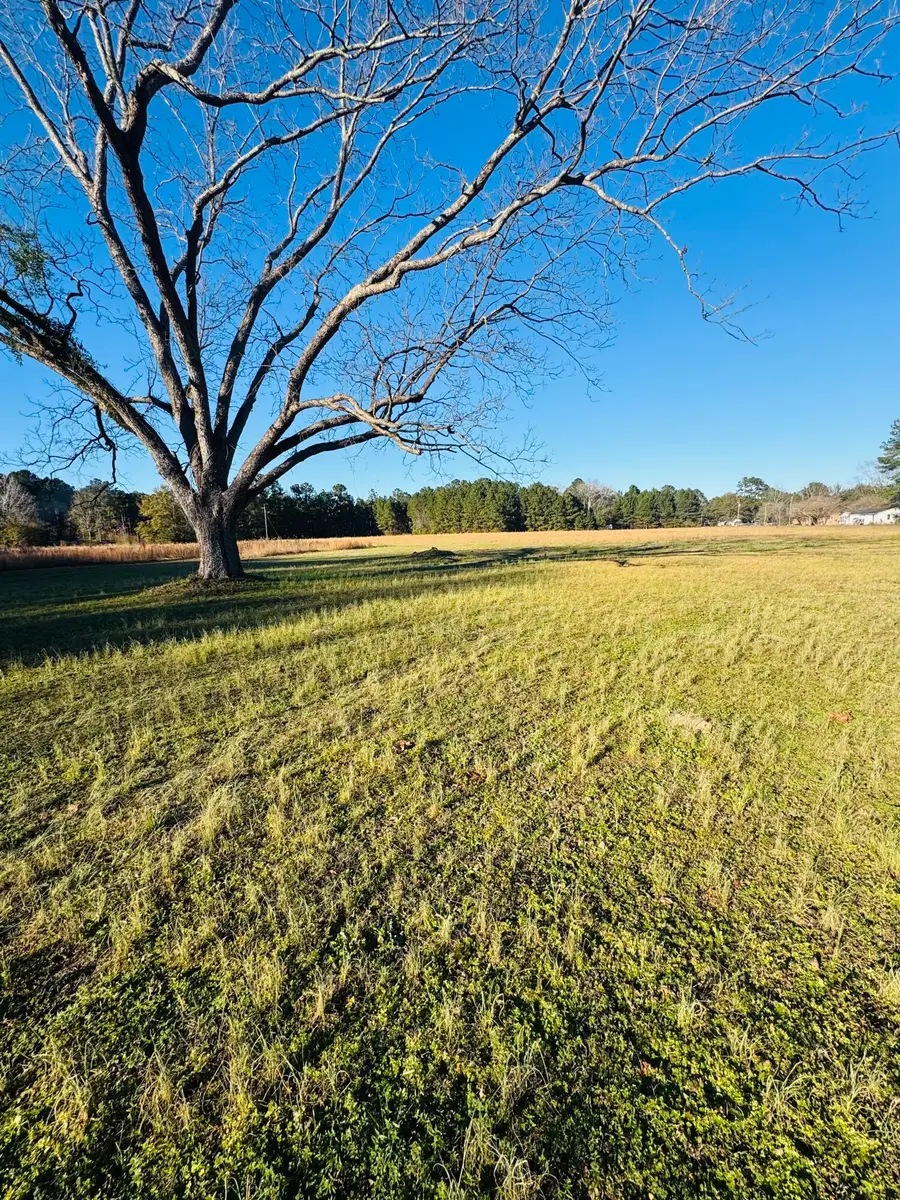 00 Bishopville Road, Saint George, SC 29477 - Image #3