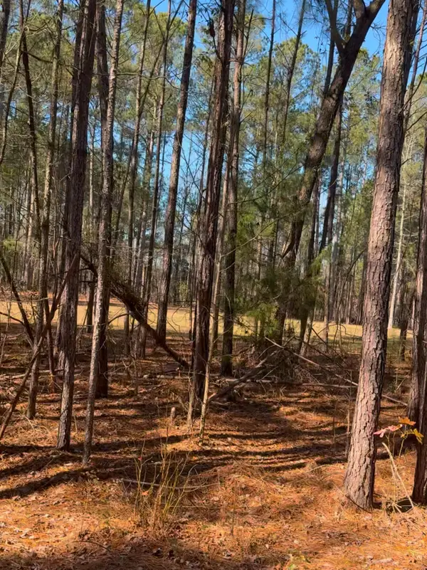 450 River Blf Trail, Saint Stephen, SC 29479