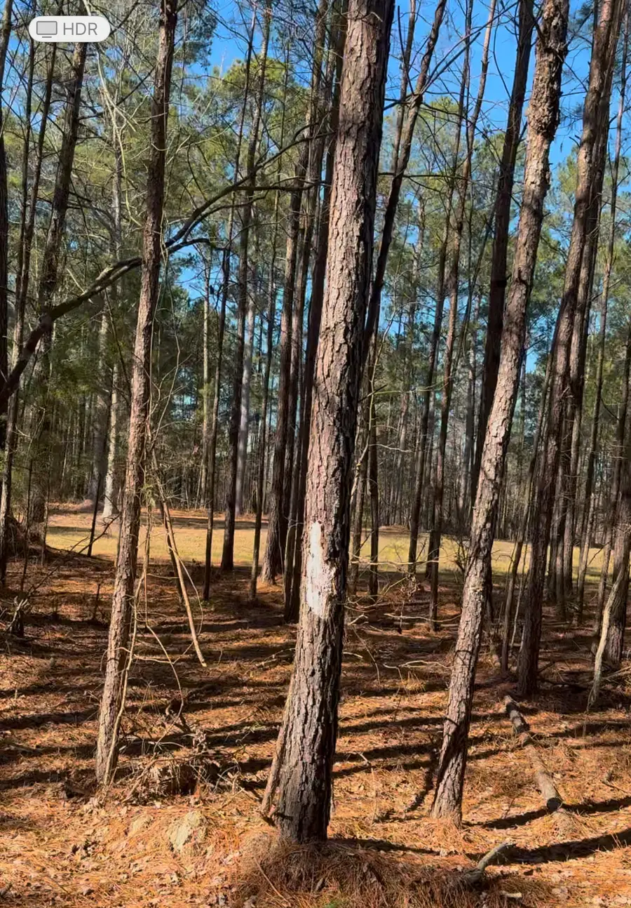 450 River Blf Trail, Saint Stephen, SC 29479 - Image #2