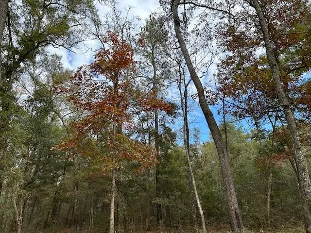 0 Parkers Ferry Rd Road, Ravenel, SC 29470 - #3