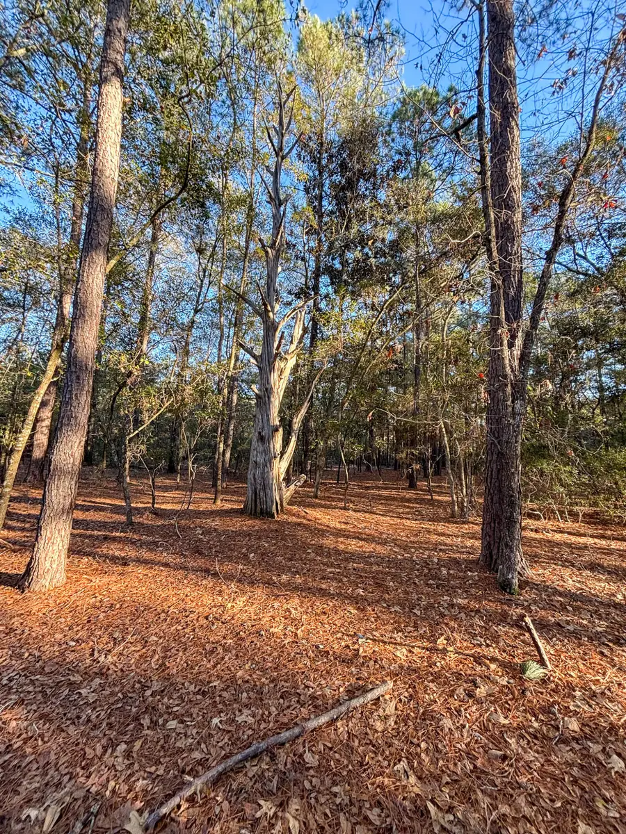 Address Withheld By Seller, Johns Island, SC 29455 - Image #3