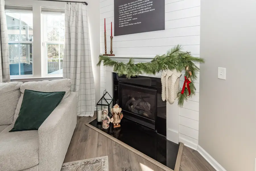 229 Firewheel Court, Summerville, SC 29486 - Image #2