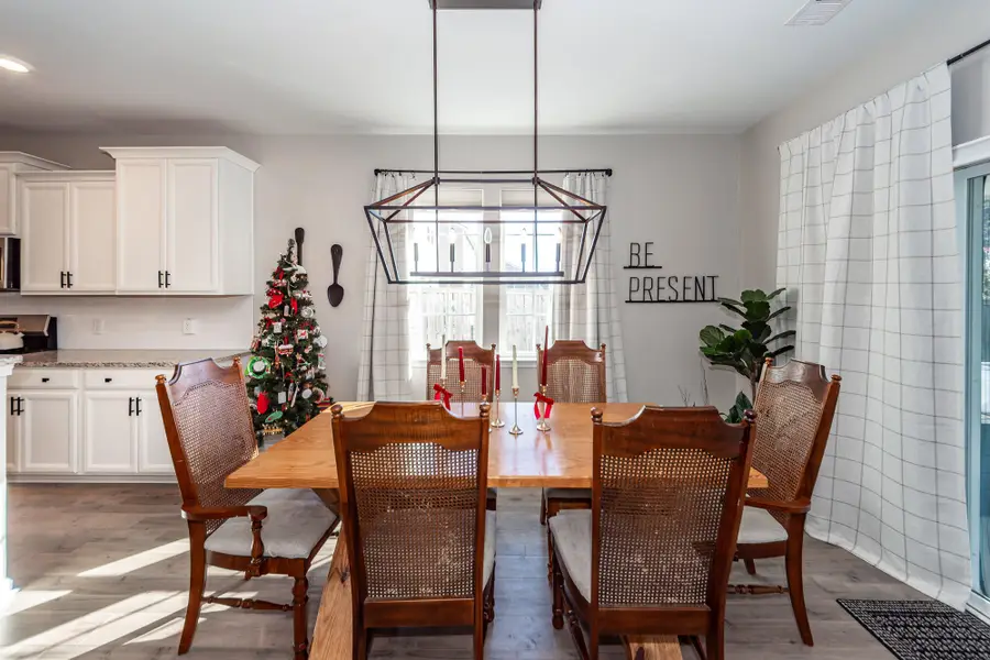 229 Firewheel Court, Summerville, SC 29486 - Image #3