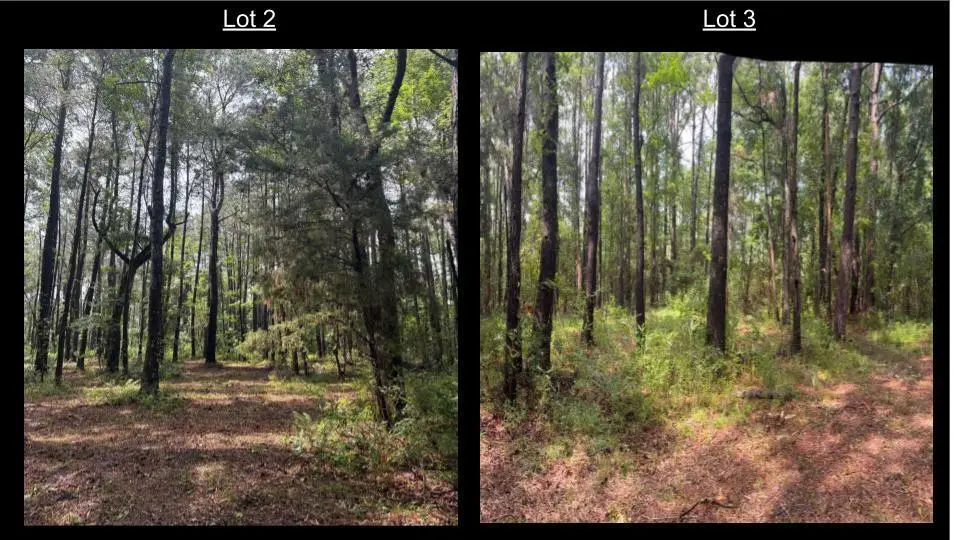 1051 Butterfly Lane, Awendaw, SC 29429 - Image #1