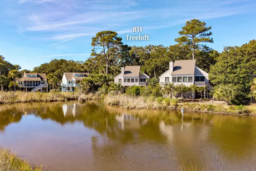 811 Treeloft Trace, Seabrook Island, SC 29455 - Image #3