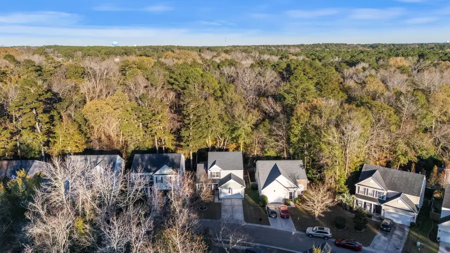 3031 Ellington Drive, Summerville, SC 29485 - Image #2