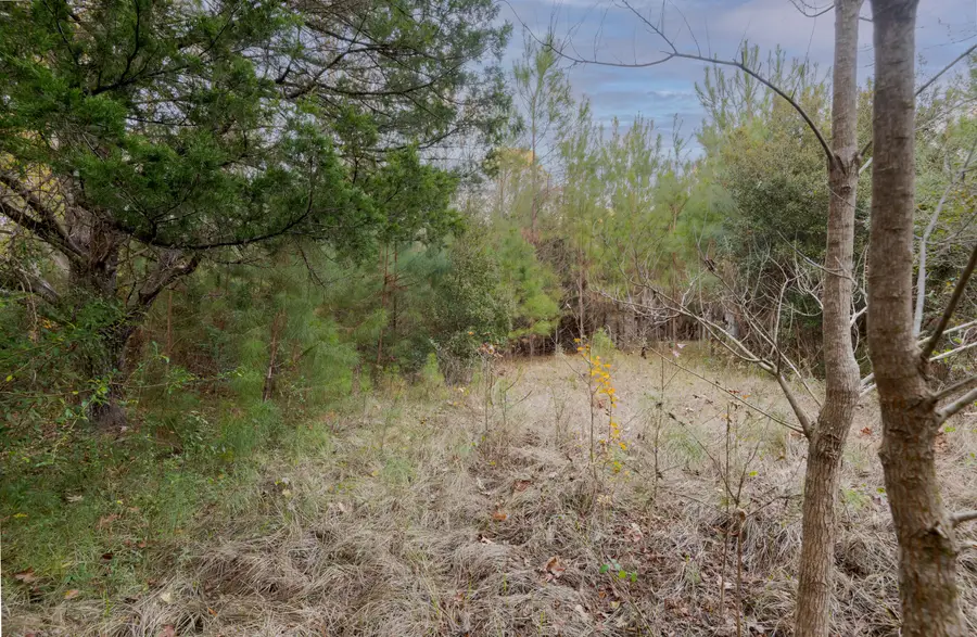 0 Allen Lane, Walterboro, SC 29488 - #3