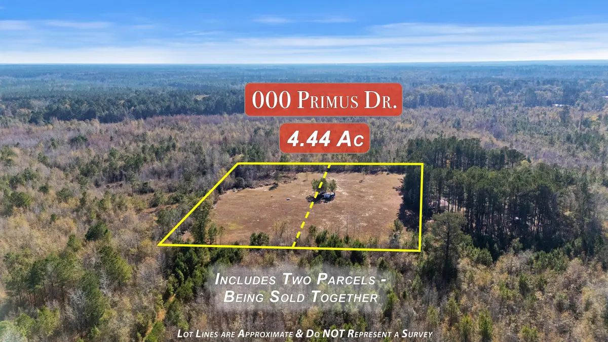 000 Primus Drive, Saint George, SC 29477 - Image #1