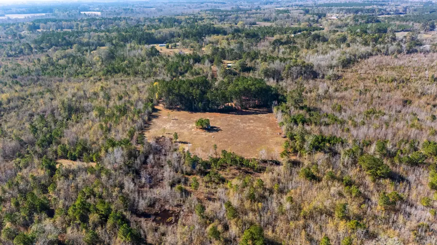 000 Primus Drive, Saint George, SC 29477 - Image #3