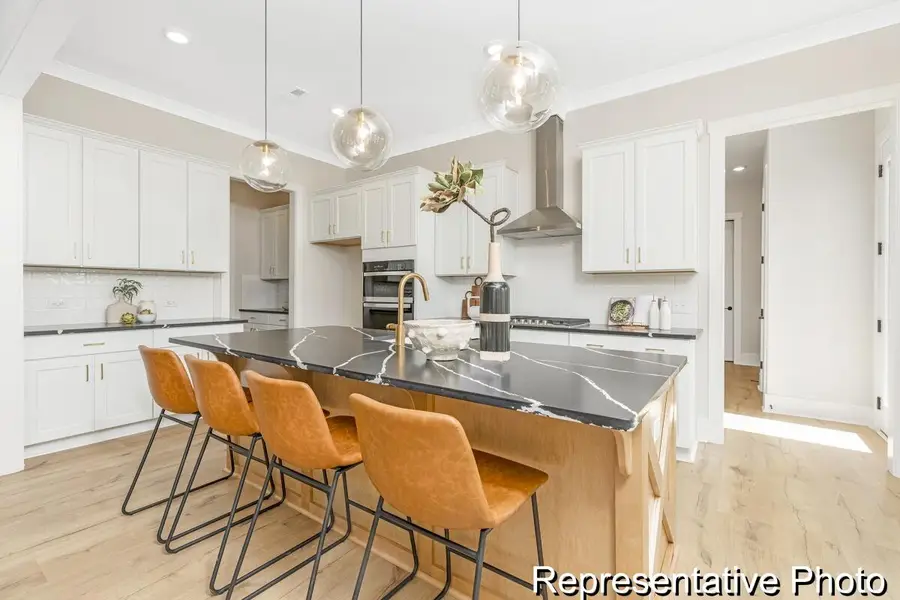 415 Myers Mayo Road #33, Ridgeville, SC 29472 - Image #3