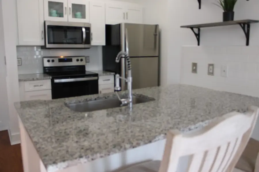 1300 Park West Boulevard #1010, Mount Pleasant, SC 29466 - Image #3