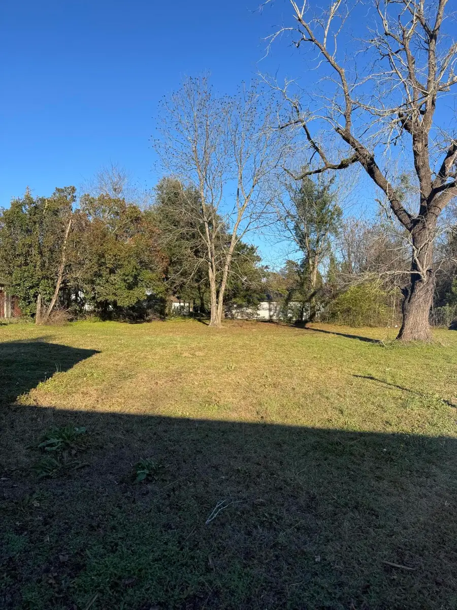 1137 Mw Rickenbaker Road, Manning, SC 29102 - #3