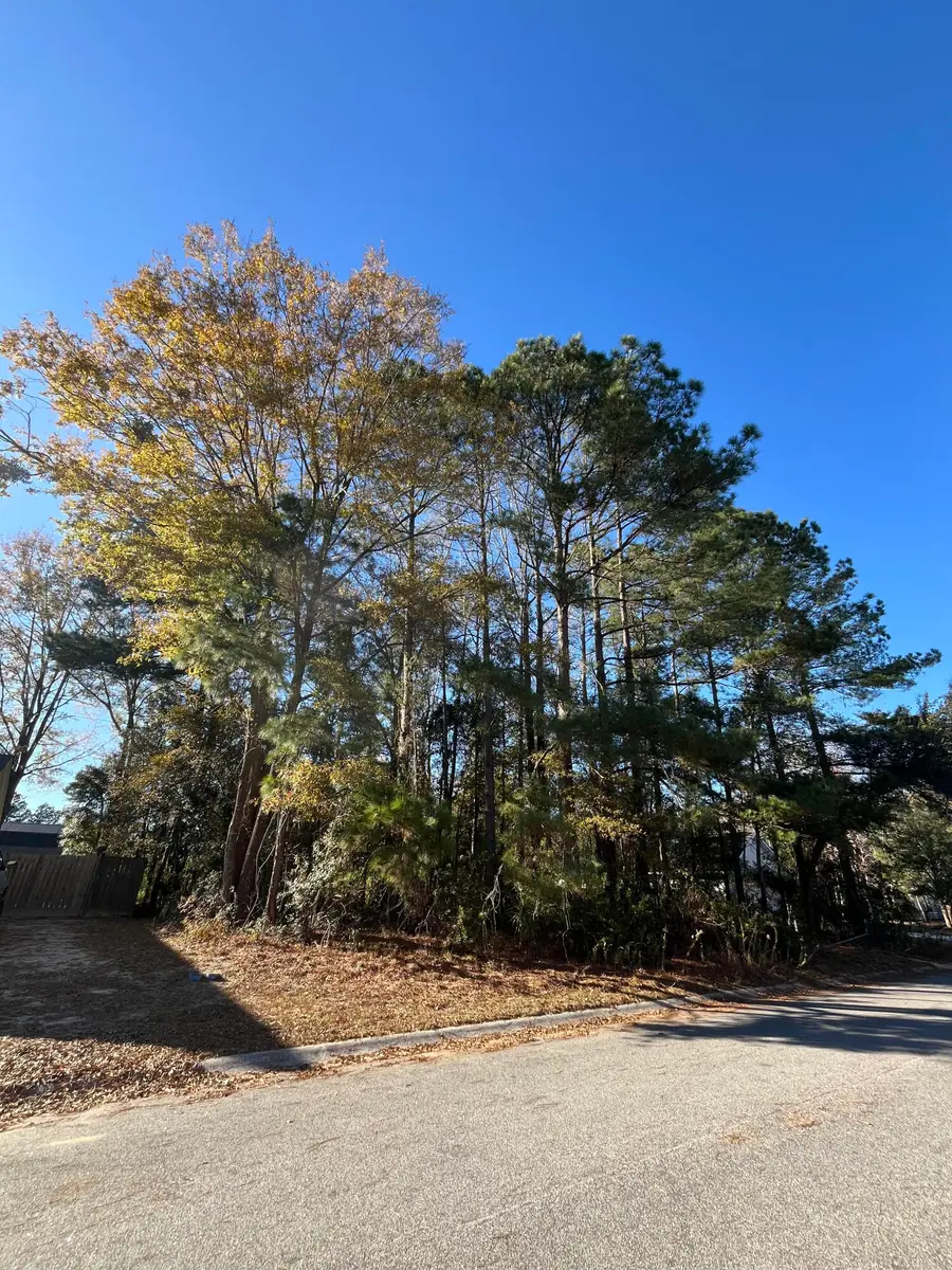 222 Jasmine Drive, Summerville, SC 29483 - Image #2