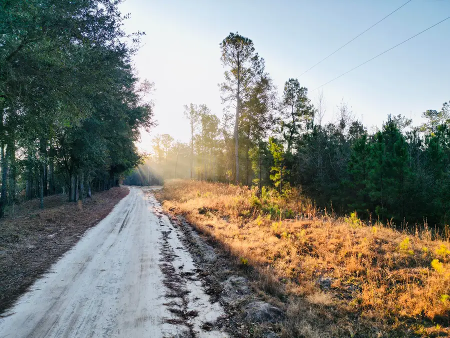 00 Live Oak Road, Ridgeville, SC 29472 - Image #2