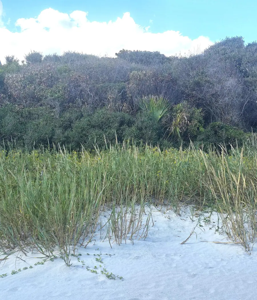 1217 E Ashley Avenue, Folly Beach, SC 29439 - #2