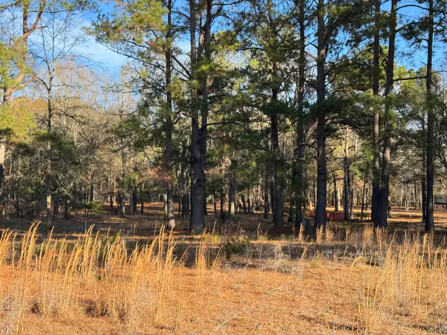 00 Lake Marion Shores Road, Summerton, SC 29148 - Image #3