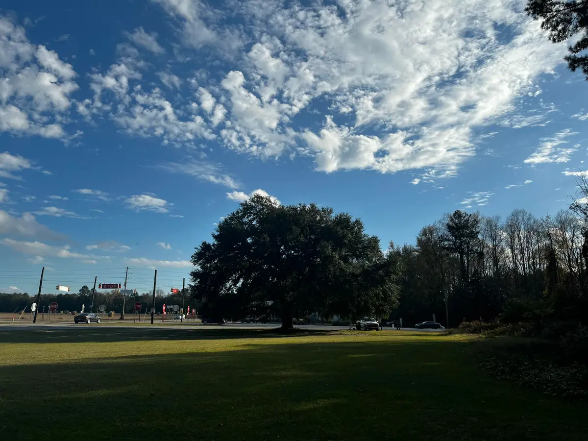 12703 Lowcountry Highway, Ruffin, SC 29475 - #1