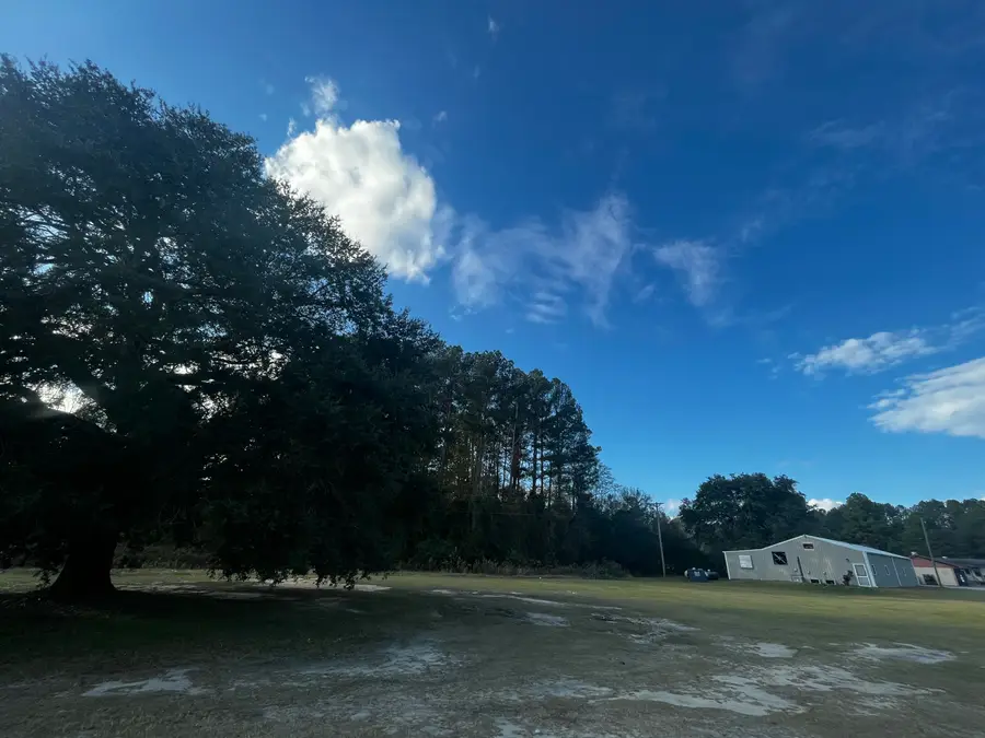 12703 Lowcountry Highway, Ruffin, SC 29475 - #2