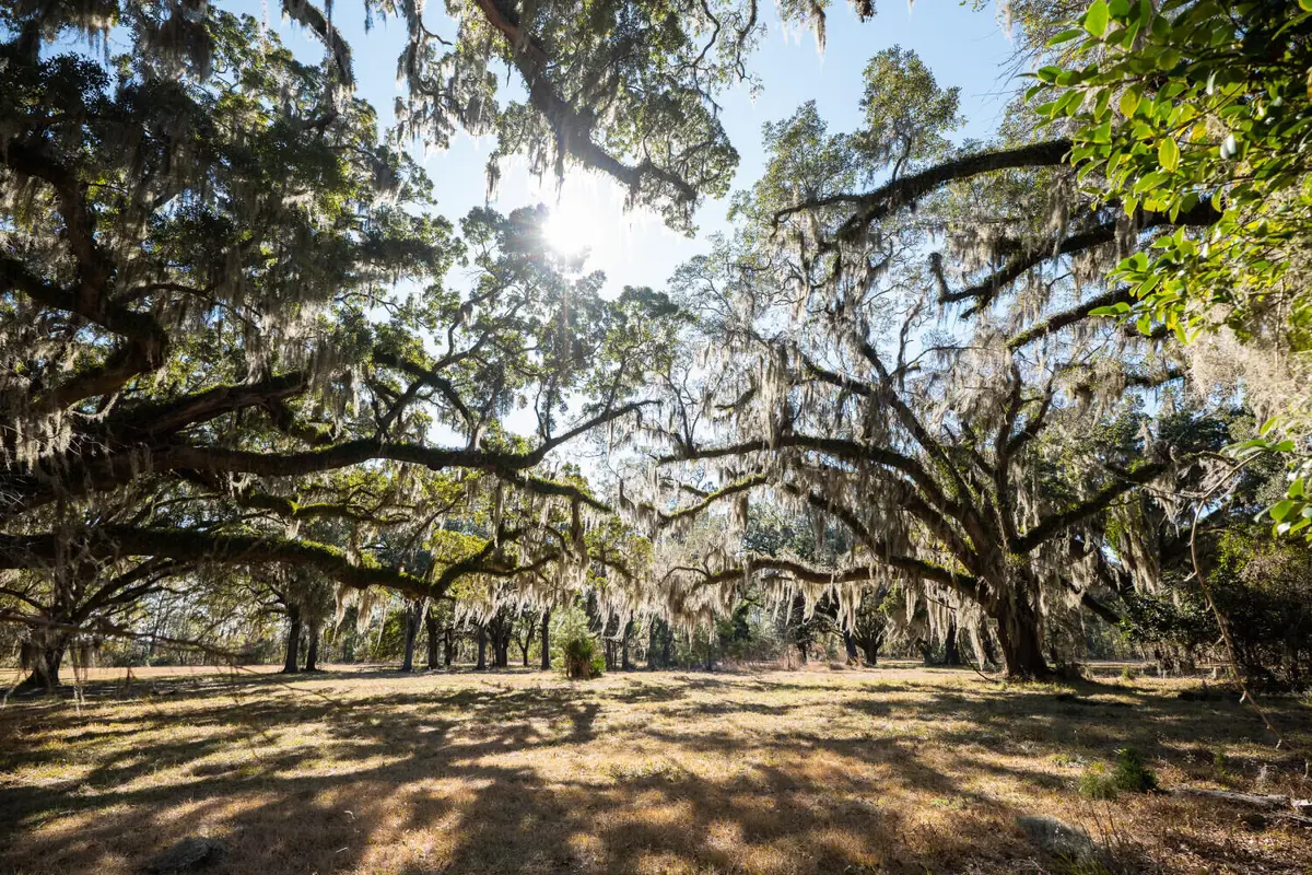 2 Mauricena Road, Georgetown, SC 29440 - #1