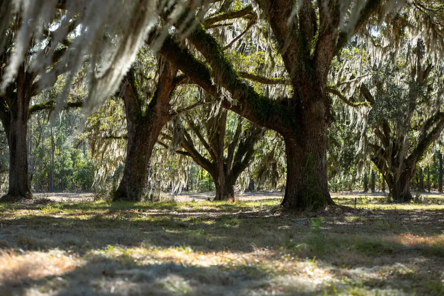 2 Mauricena Road, Georgetown, SC 29440 - #2