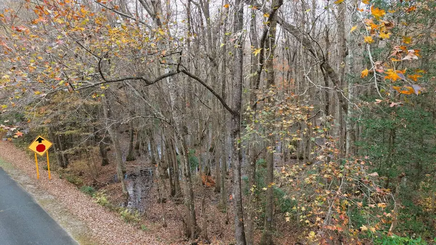 00 Betsy Hole Road, Bonneau, SC 29431 - #2