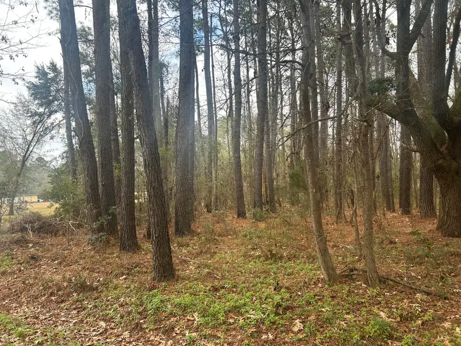 2437 Cape Road, Johns Island, SC 29455 - #3