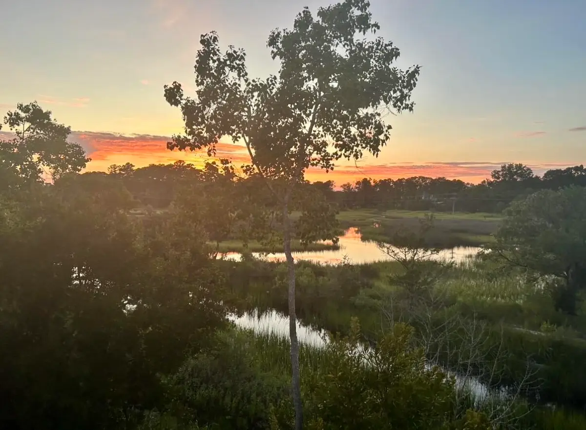 611 Mclernon, Johns Island, SC 29455 - #1