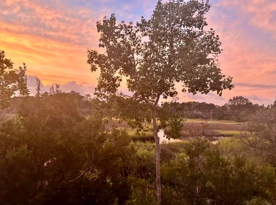 611 Mclernon, Johns Island, SC 29455 - #2