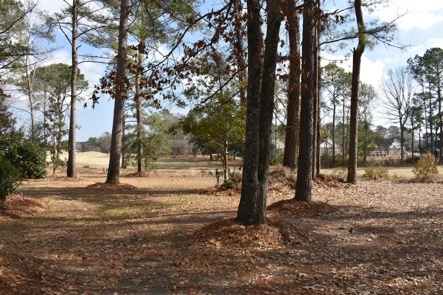 842 Bentwood Circle, Manning, SC 29102 - #2